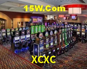 XCXC — cláusulas contratuais que disciplinam o uso da plataforma